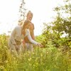 Comment aménager une prairie fleurie destinée aux abeilles?