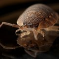 Ces plus petites mains qui nous aident au jardin