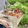 Aménager un potager sur la terrasse ou le balcon