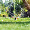 Faire face à une vague de chaleur au jardin