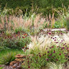 Un jardin de prairie, la bonne idée