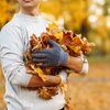 Que faire au jardin entre automne et hiver?