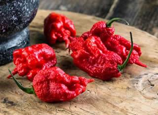 Carolina Reaper,