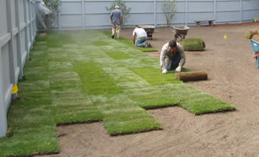 graszoden aanleggen