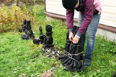 Niet-winterharde planten wikkelen in een vlies