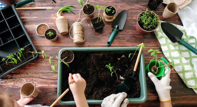 Moestuinieren met kweekbakken in februari 