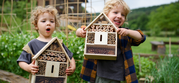 Hang een insectenhotel op in de tuin.