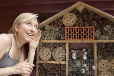 Luister en bekijk het insectenhotel van dichtbij.