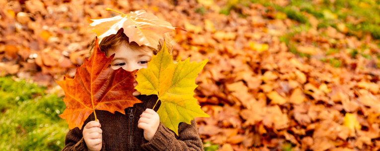 Bladeren verkleuren in de herfst