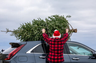 Een echte kerstboom of een kunstkerstboom