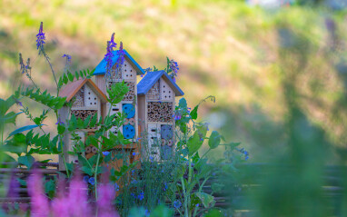 Plaats een insectenhotel op een zonnige plek in de nabijheid van bloemen