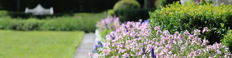 bordures de fleurs en pleine floraison