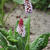 Primula vialii