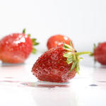 Fragaria x ananassa 'Anaïs' - 