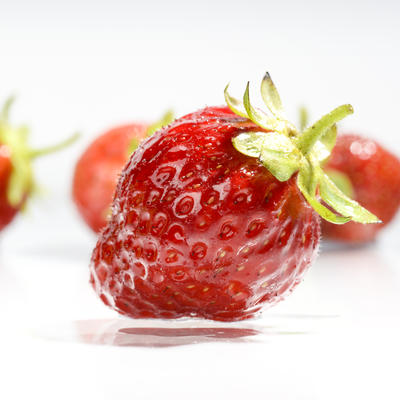 Fragaria x ananassa 'Nova Gento' - 