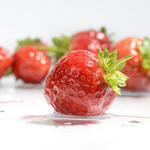 Fragaria x ananassa 'Sweet Eve' - 