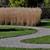 Calamagrostis x acutiflora 'Karl Foerster'