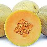 Cucumis melo 'Cavaillon' - 