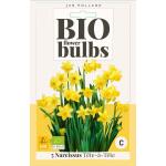 Bio Narzisse 'Tête-à-tête' - Bio Flowerbulbs (5 stück)