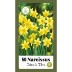 Filet de 50 narcisses Tête-à-tête (50 pièces)