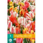 Mélange de 7 bulbes de tulipes Fun Colours (7 pièces)