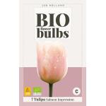 Bio Tulpe 'Salmon'- bio flowerbulbs (7 stück)