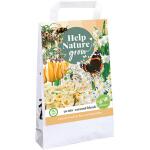 Sachet cadeau avec 30 bulbes Caramel Friends - 'Help nature Grow' (30 pièces)