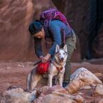 Sac à dos rouge pour chien Kurgo Baxter - M