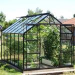 Serre Vitavia Jupiter en aluminium noir - 2,57 x 3,83 x 2,46 m -  9,9 m²