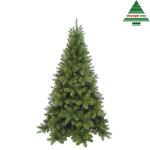 Sapin de Noël Tuscan 215 cm vert - Triumph tree