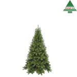 Sapin de Noël Tuscan 120 cm - triumph tree