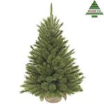 Sapin de Noël Forest Frosted w-burlap - Ø 62 x 90 cm