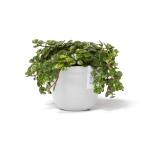 ECOPOTS Oslo Mini - blanc pur Ø 11,5 cm