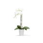 ECOPOTS Morinda - blanc pur Ø 17 cm