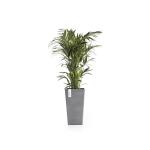 ECOPOTS Rotterdam Mid High - gris 56 cm