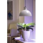 Lampe de croissance led Florabooster 500 - 6,5W - blanche