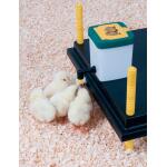 Abreuvoir avec tétine pour poussins - 0,5 l