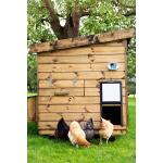 Chickenguard Pro ouvre-porte automatique + porte pour poulailler