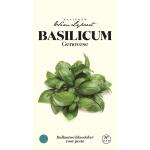 Basilic Genovese - graines Wim  Lybaert