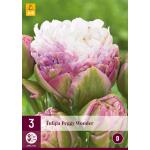 Tulipa Peggy Wonder (3 pièces)