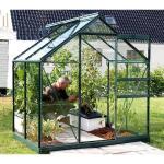 Serre Venus Vitavia en aluminium vert - 1,93 x 1,31 x 1,97 m - 2,5 m²