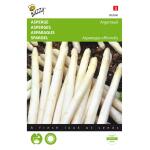 Asperges Argenteuil