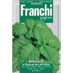 Basilic à feuille de laitue