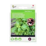 Basilic Genovese – 4 sachets