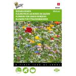 Fleurs pour les bords de gazon Mélange