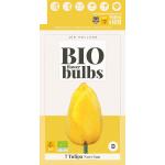 Tulipe Novi Sun - bio flowerbulbs (7 pièces)