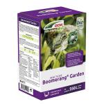 DCM Boomerang Garden contre les chenilles du buis - 50 ml