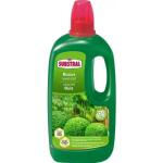 Engrais Substral pour buis - 1 l