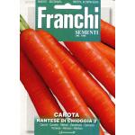 Carota Nantes 2 - Carotte nantaise