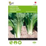 Chou de Chine Pe-Tsai - Brassica pekinensis